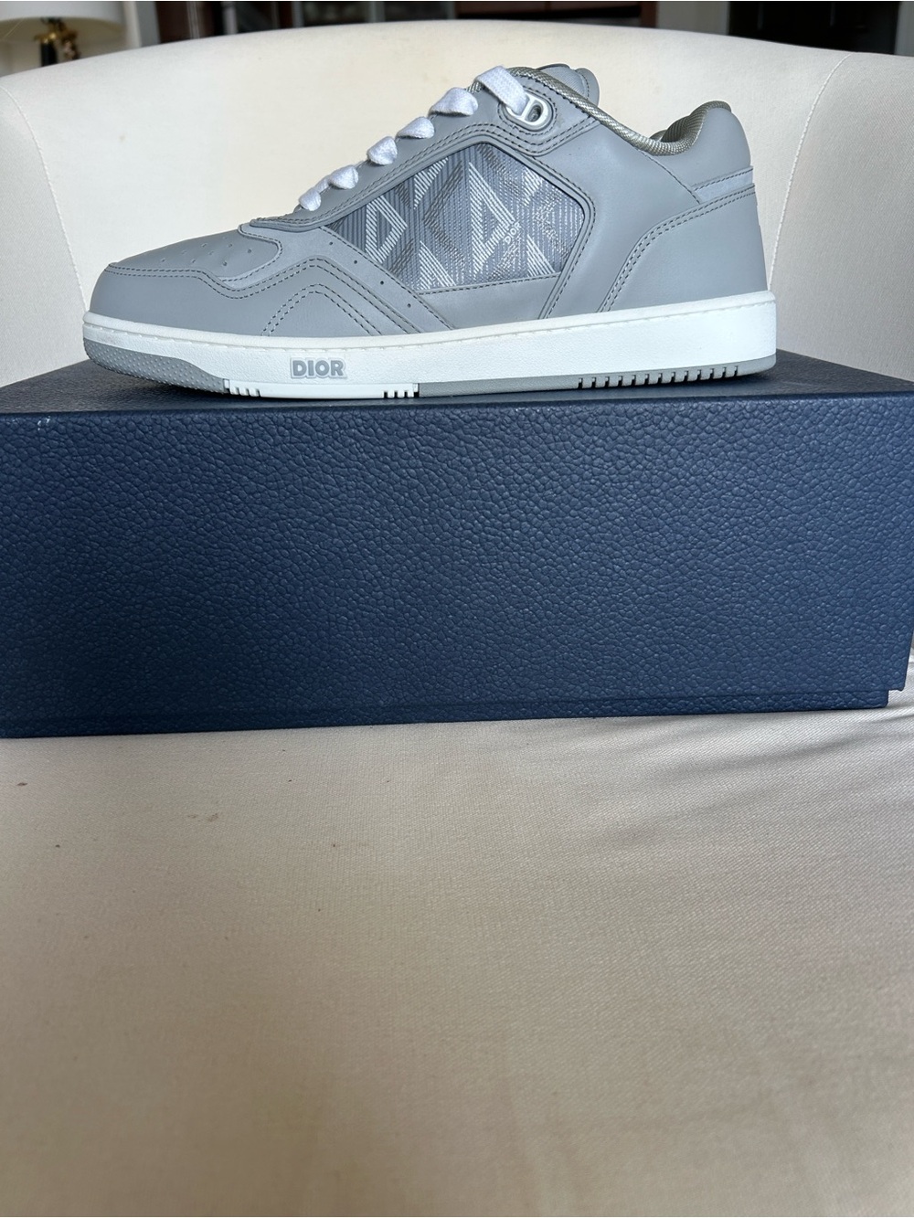 Dior Men's Grey Low-Top Logo-Panel Sneaker